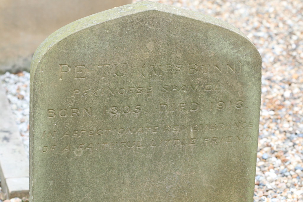 Polseden Lacey Pet Cemetery Yppop Flickr