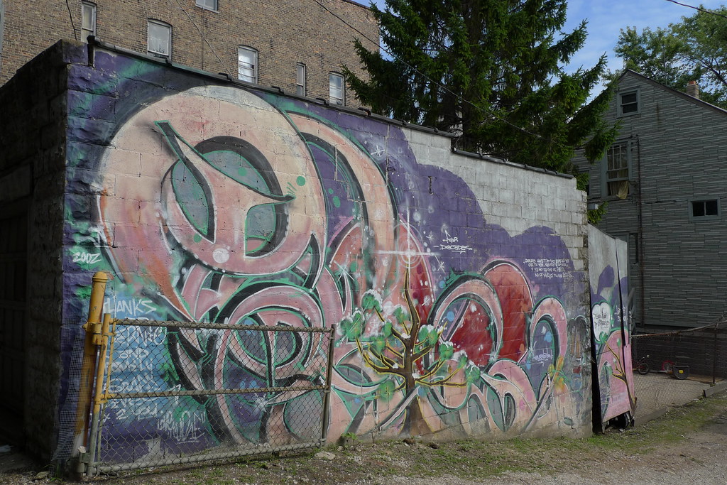 Alleyview of garage behind 2006 W. 21st Street curtis locke Flickr