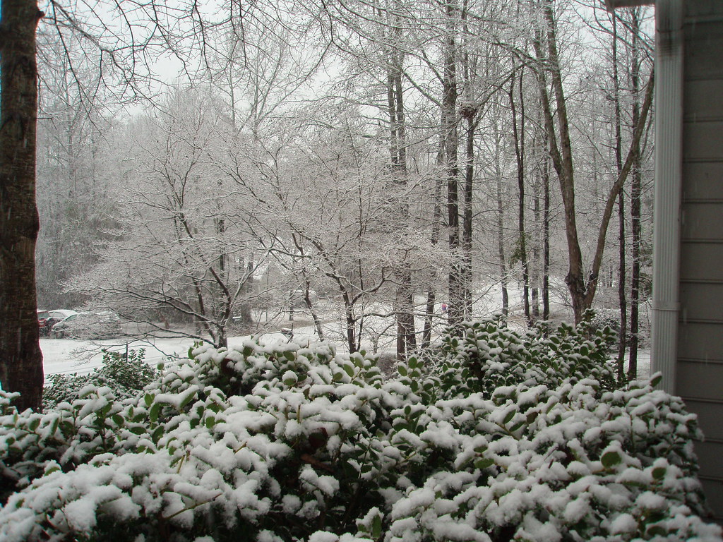 Athens GA snow; March 1, 2009 Laura Heilman Flickr