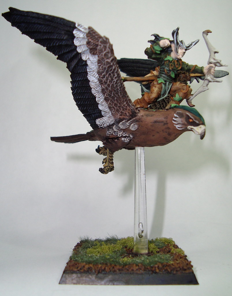 GW's Warhammer Wood Elf Warhawk Rider REF8010 Flickr