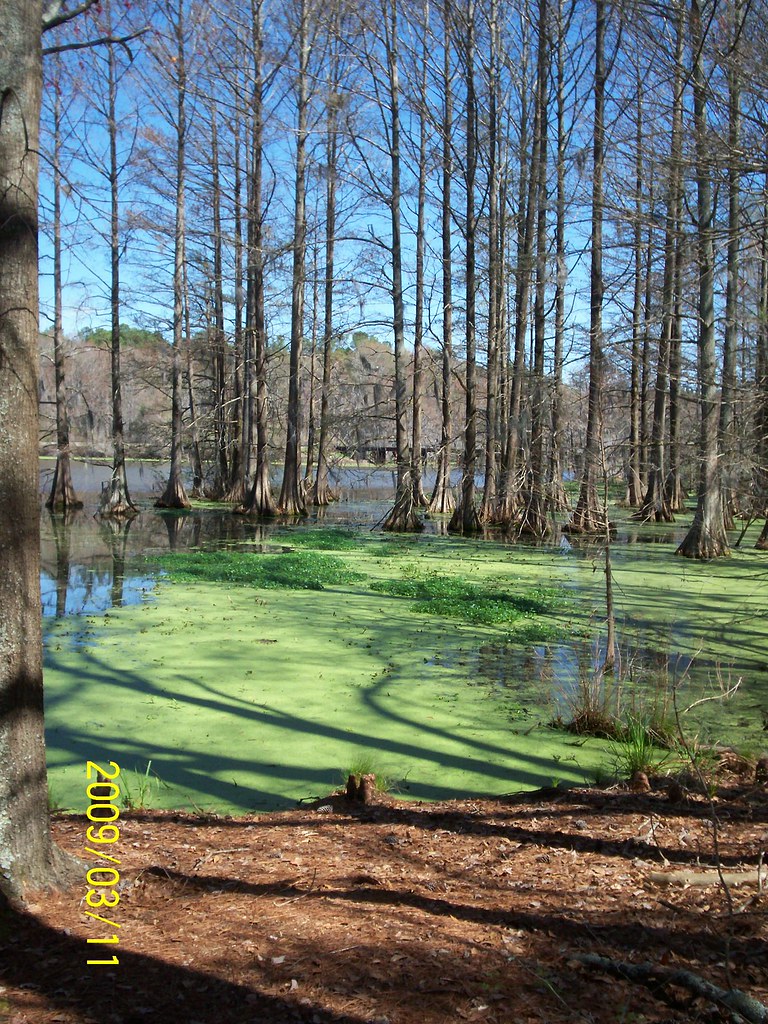 Lake BlackshearCordele, GaGA Veterans Memorial State Par… Flickr