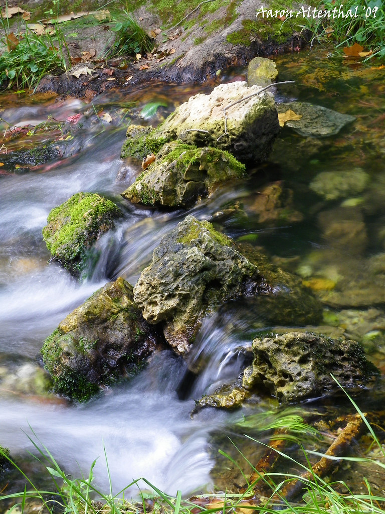 Cave Springs Hunter, MO (2) Studio_XII Flickr