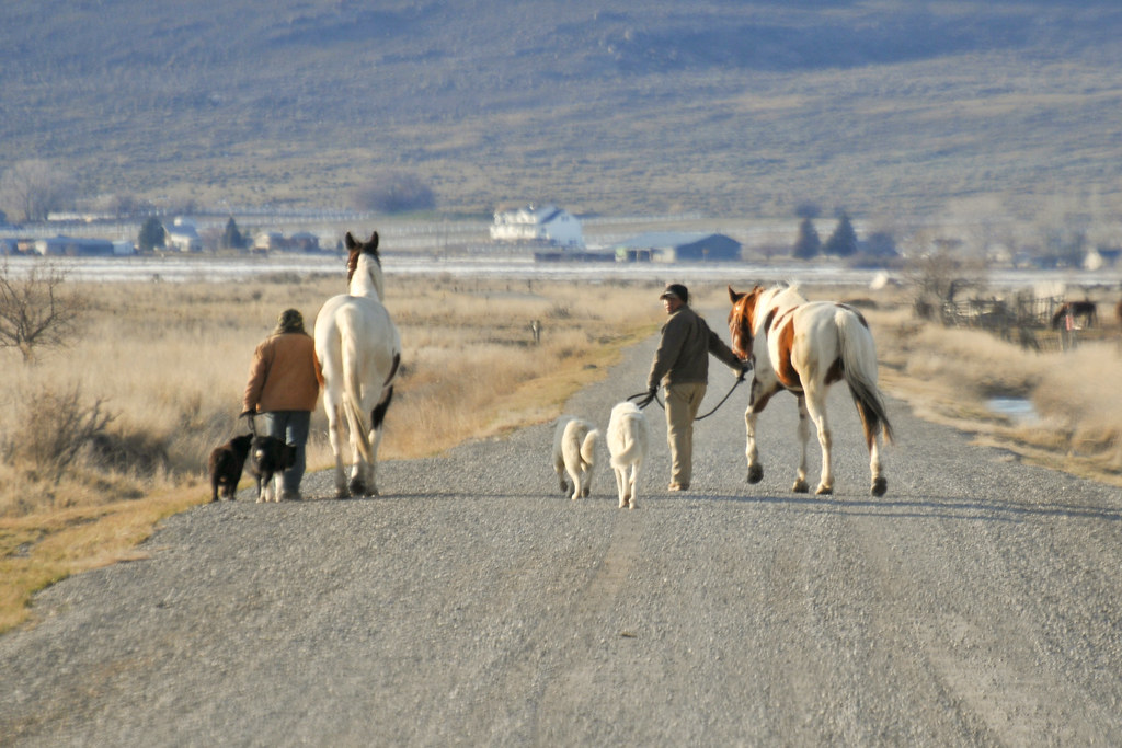 The Shepherds Photographed in the Bear River Valley, Utah.… Flickr