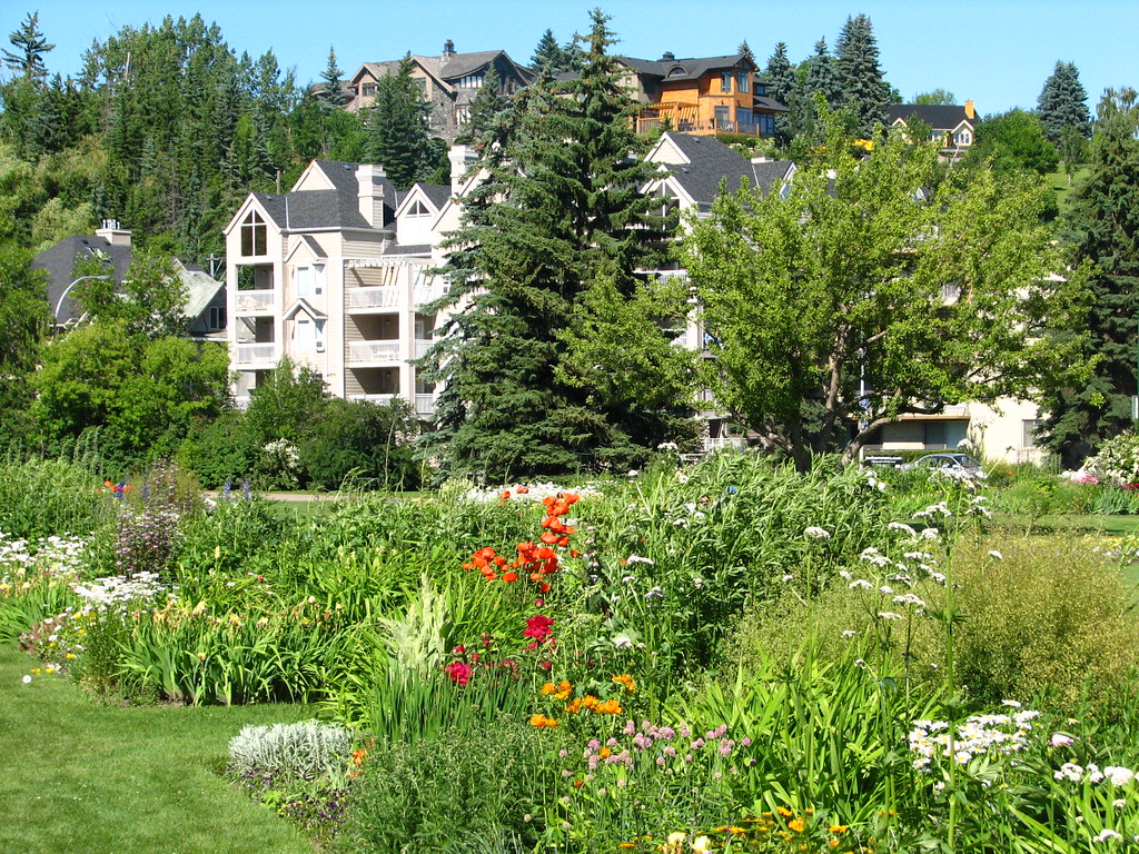 Calgary's Riley Park Calgary's Riley Park Surrealplaces Flickr