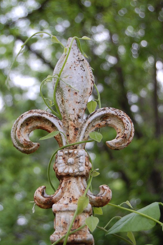 1515 Gilbert Drive, Shreveport Rhonda Gibson Flickr