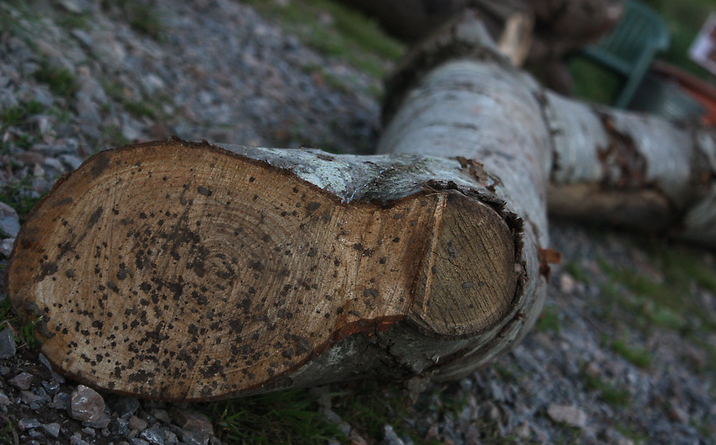 The wooden leg Simon Gauvin Flickr