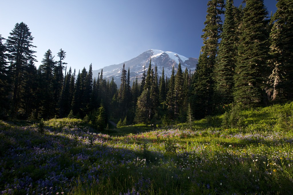 Paradise Park Meadow Jeff Few Flickr