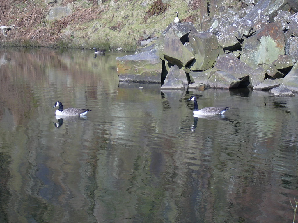 Troy Quarry, Haslingden Grane Robert Wade (Wadey) Flickr