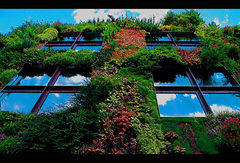 The green Wall Reflections of sky, clouds and plants on th… Flickr