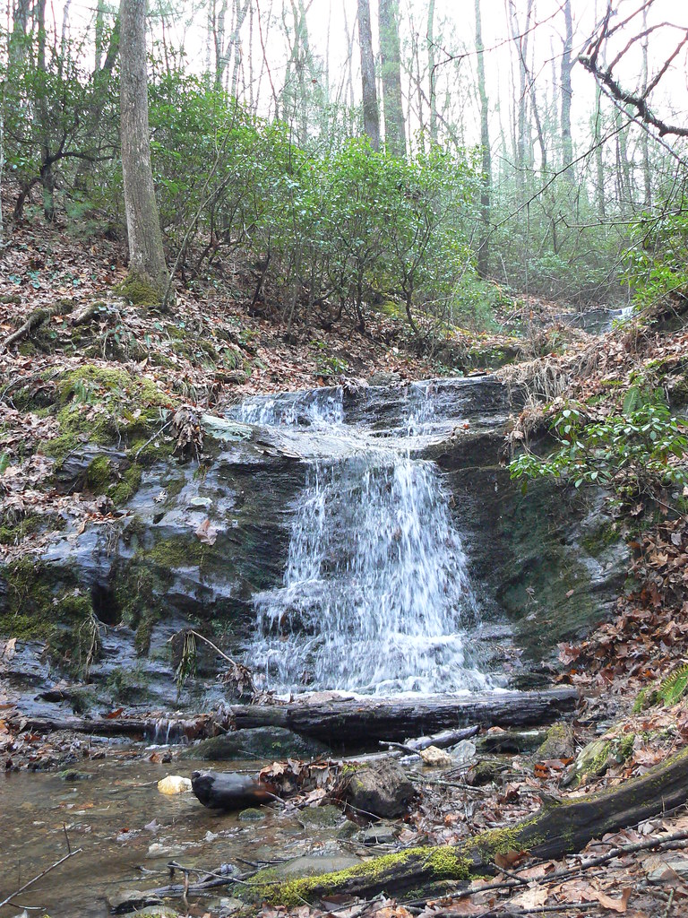Fairystone State Park Little Mountain Falls Trail Logs… Flickr