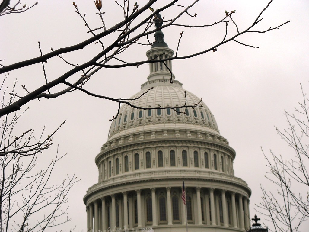 Washington DC 108 The Rotunda of The Capital Building Wendy Upton