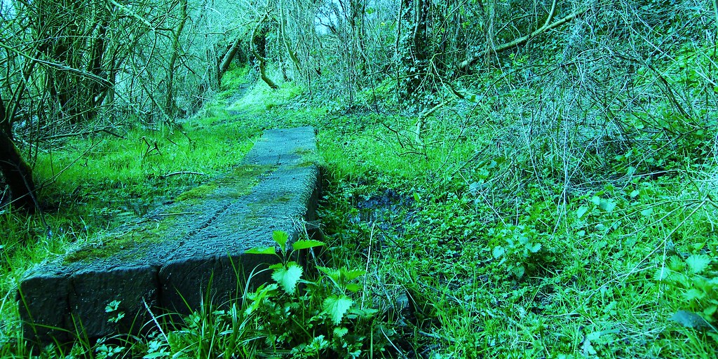 "Wildlife Trusts, Norwood Road. March Camb's UK...383a Flickr
