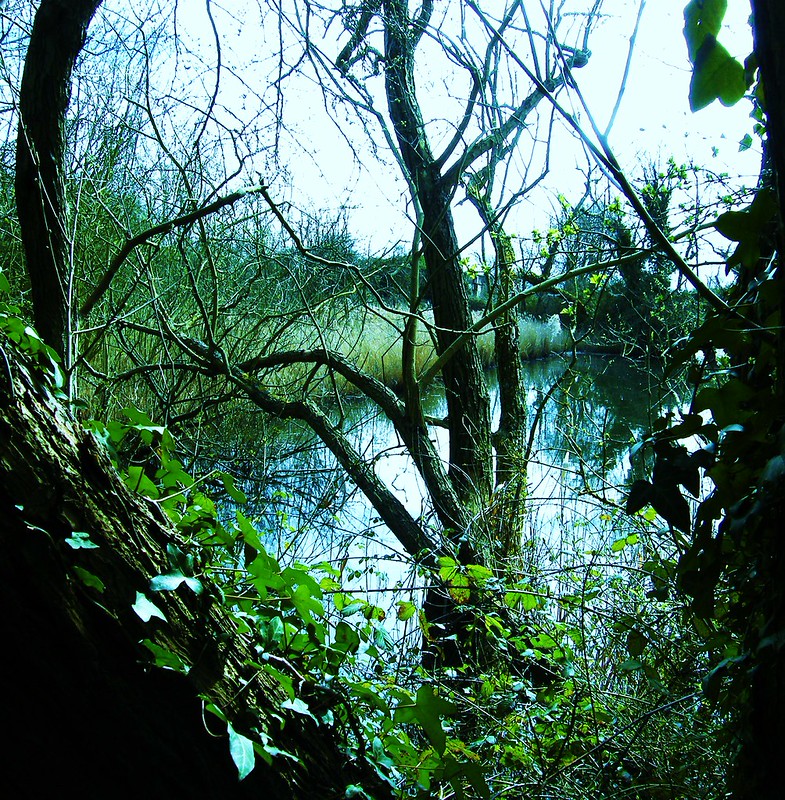 Wildlife Trusts, Norwood Road March Camb's UK... Flickr