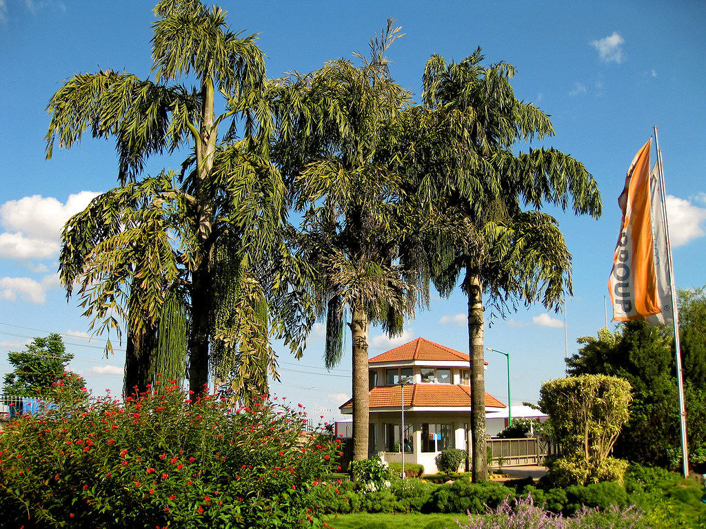 Lapp Group in India Lapp India Jigani, Bangalore, Karnatak… Andreas Metz Flickr