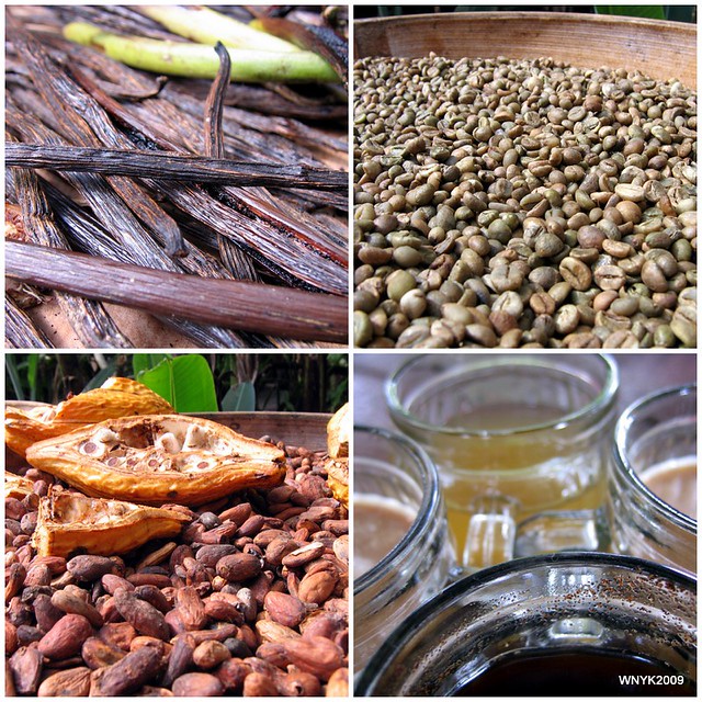 Bali20091 Vanilla pods; Coffee beans; coffee sampling; co… Flickr