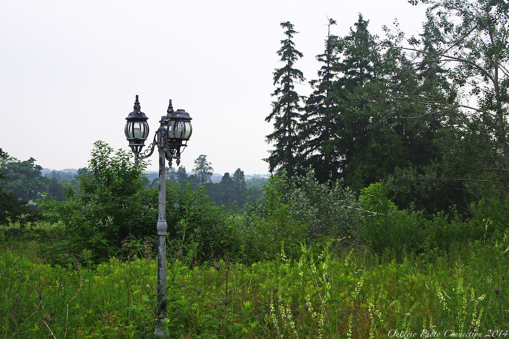 3751 Lonely lampost on a vacant parcel of land in Markham'… Flickr