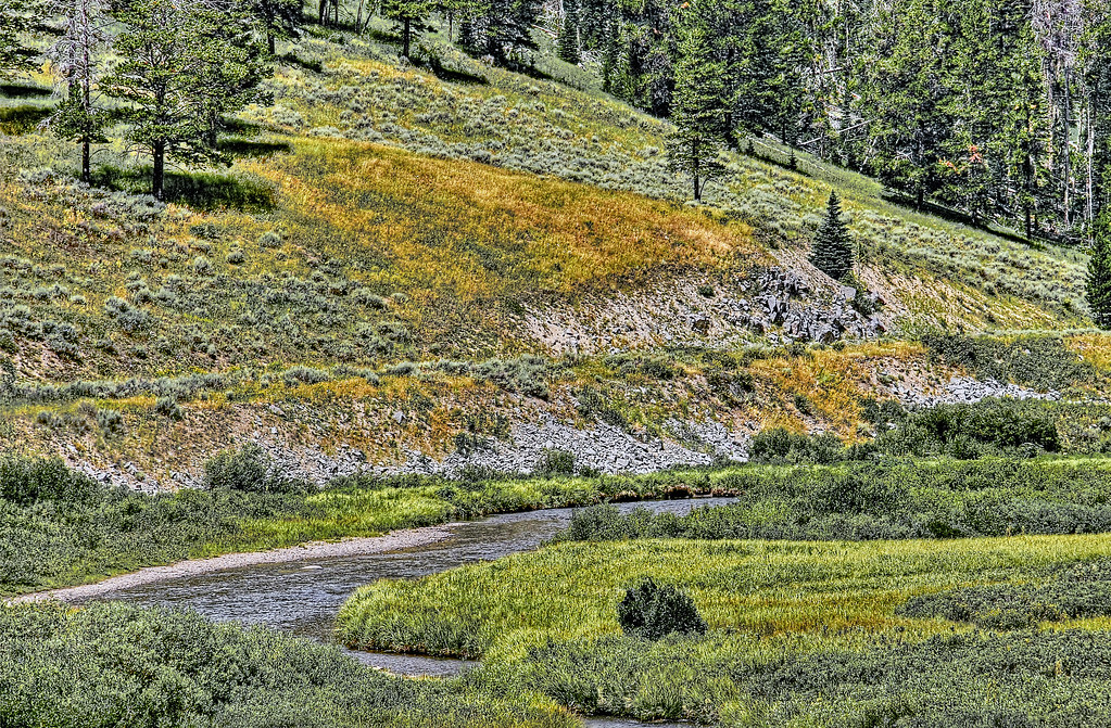 Fly Fishing In Yellowstone National Park Long Days