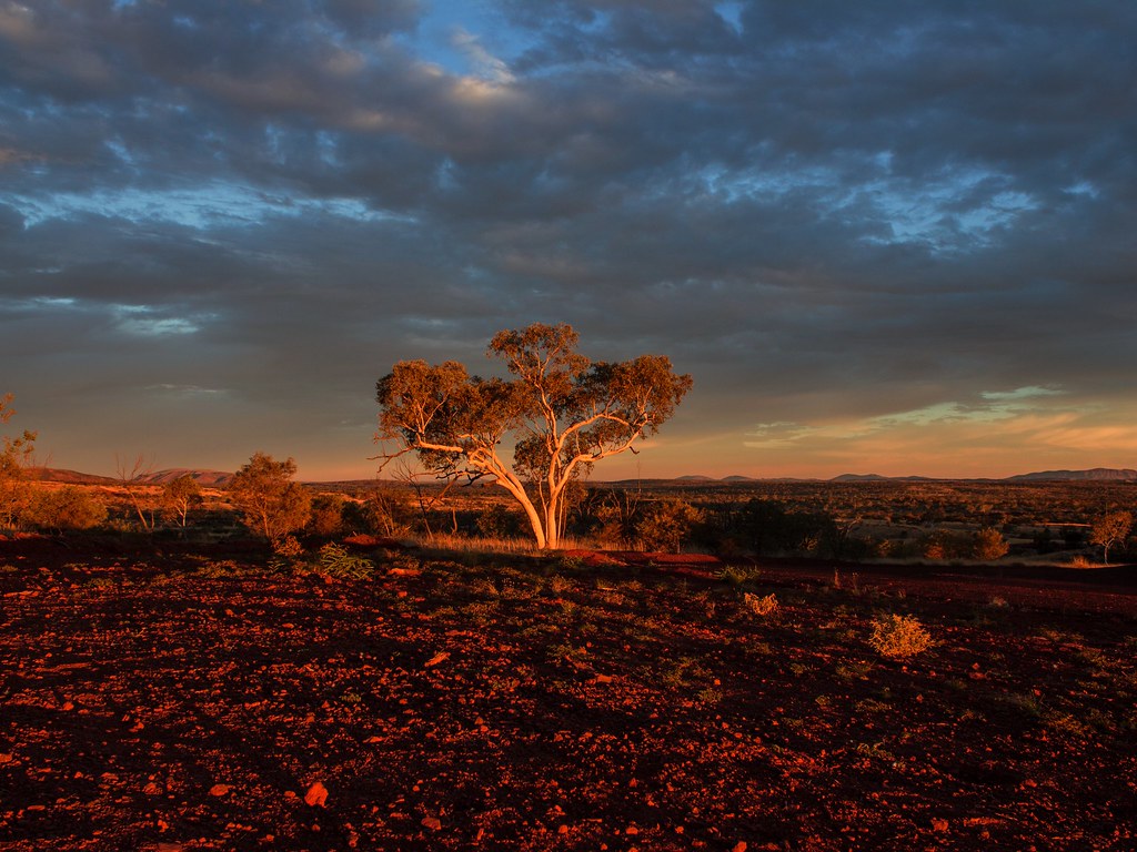 Lonely Tree (reedit) This is not technically a reedit of… Flickr