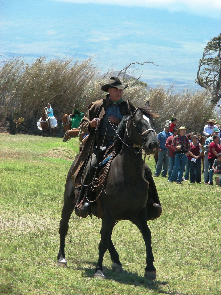 Big horse, big whip Cathey Tarleton Flickr