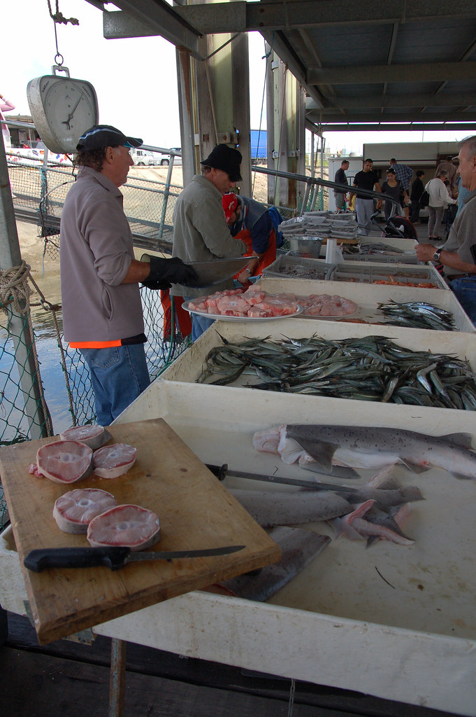 Fish Market Torrens Island Market, Adelaide, South Austral… Natalie