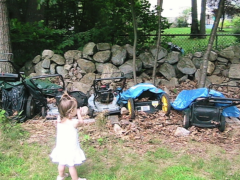 Lawn Mower Graveyard And here is where her lawnmower obses… Flickr
