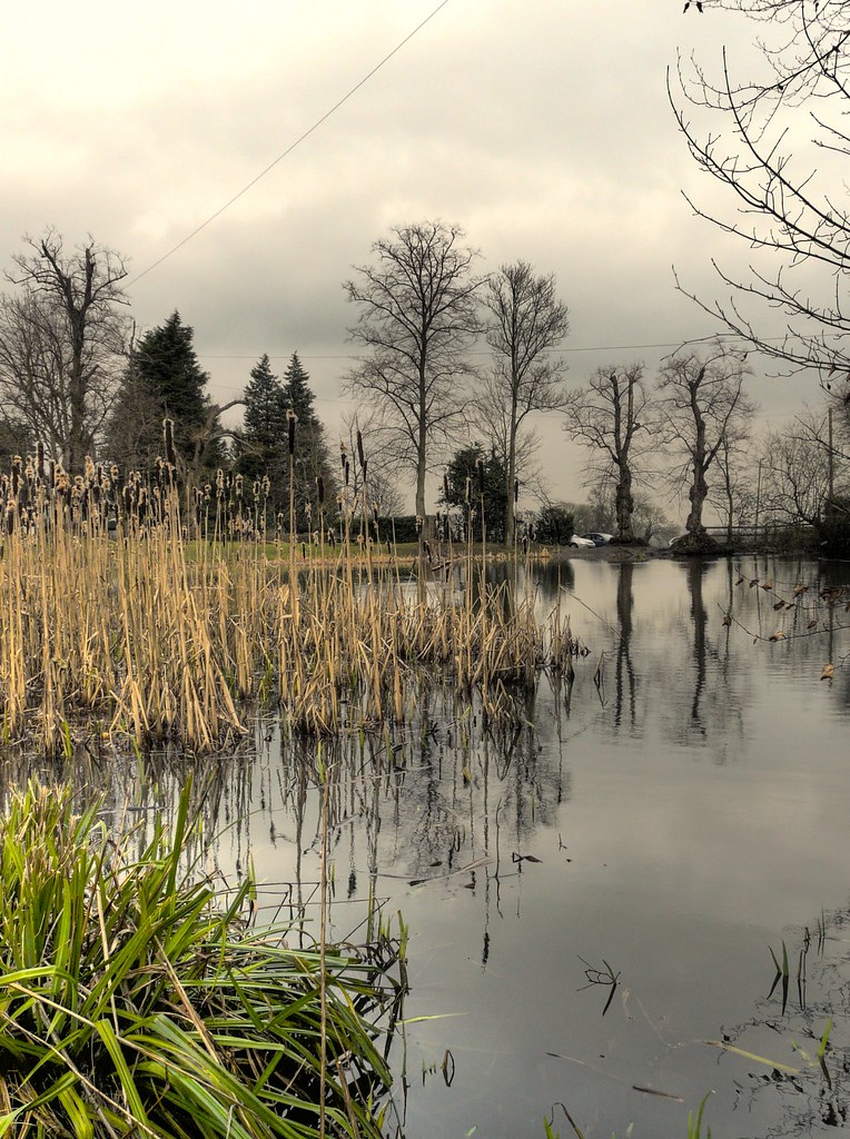 Elmore pond, Chipstead, Surrey chrisb964 Flickr