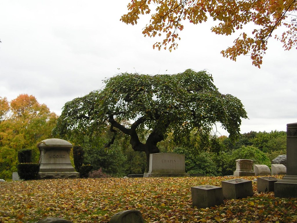 Forestdale Cemetery, Holyoke MA Rusty Clark 100K Photos Flickr
