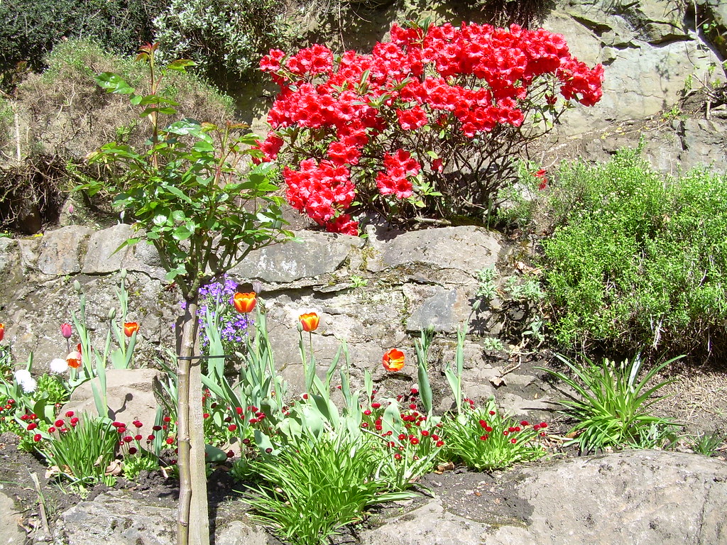 Flowers Victoria Park lirva`s pics Flickr