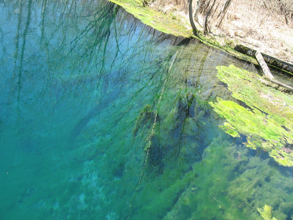 Blue Hole Steep Wall The sides are almost completely strai… Flickr