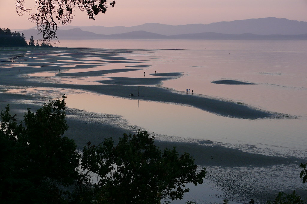 Craig Bay Parksville. Strait of Vancouver Island JayT47