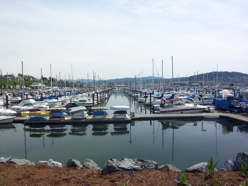 100_0169 Marina at Squalicum Harbor, Bellingham WA Patrick Robinson