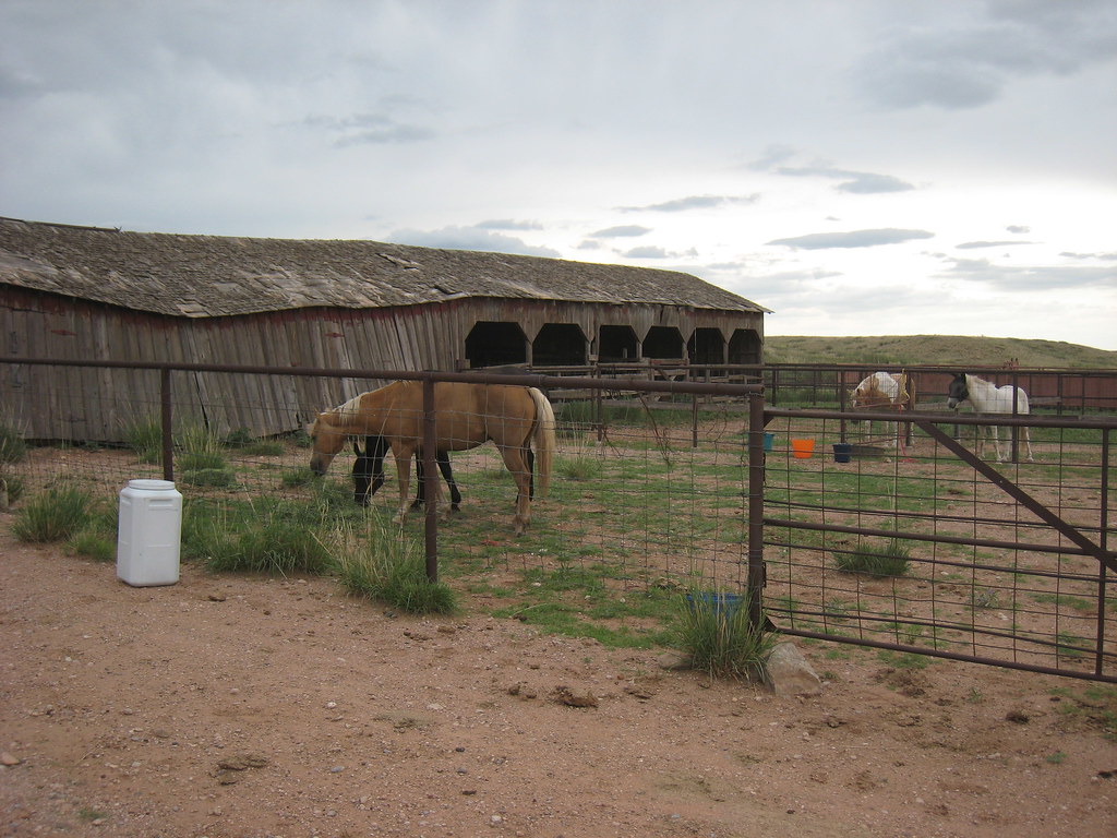 The horse corrales Horse facilities are limited at the bas… Flickr