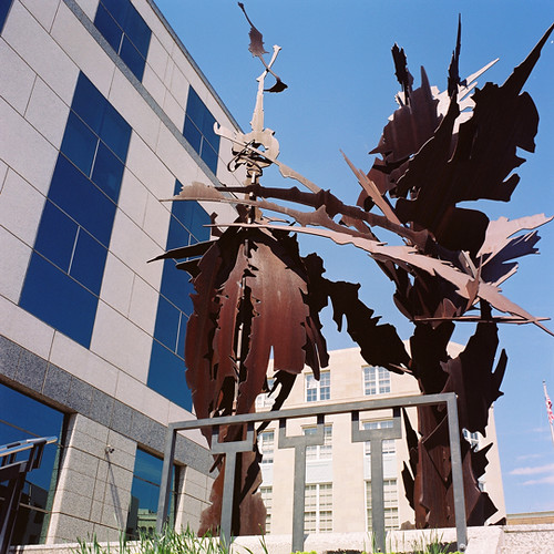 Downtown Asheville Sculpture Photo of the Day 8/7/2009 Flickr