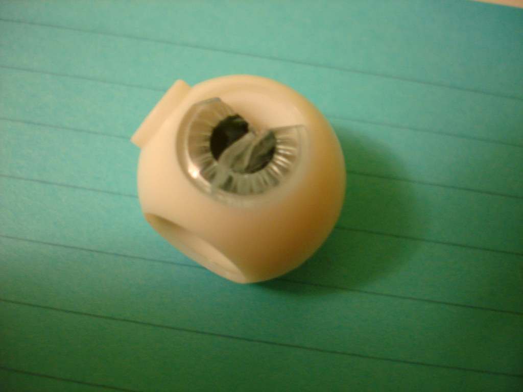 Removing Problem Eye Chips Sometimes, an eye chip will be … Flickr