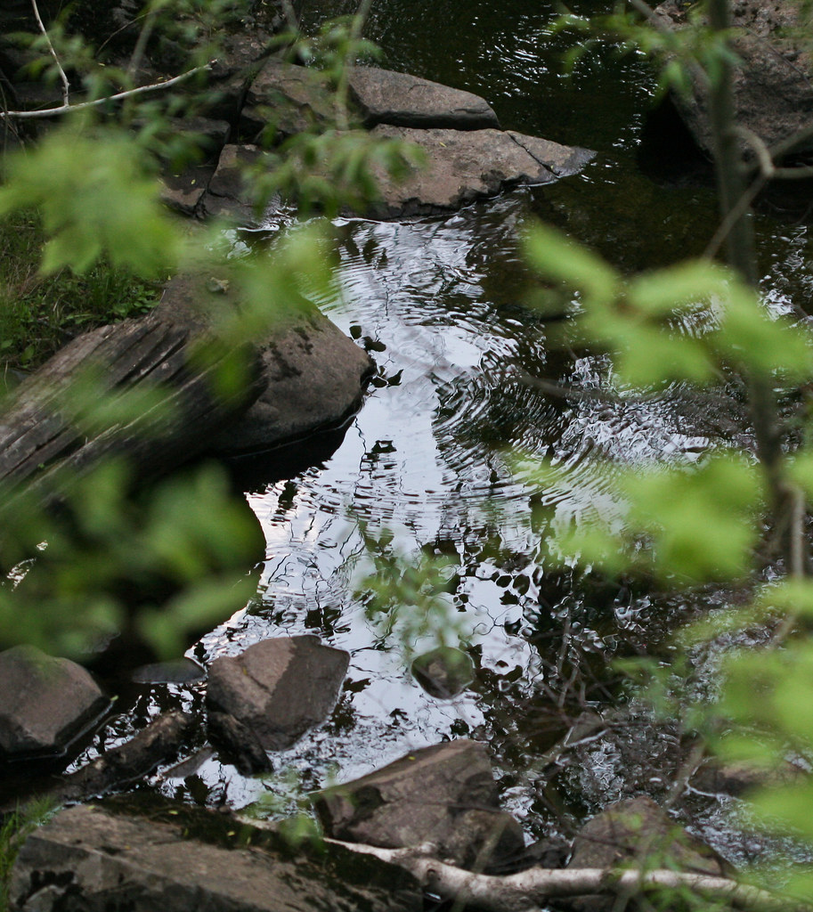 Chester Creek, Duluth 6/4/09 Sharon Mollerus Flickr