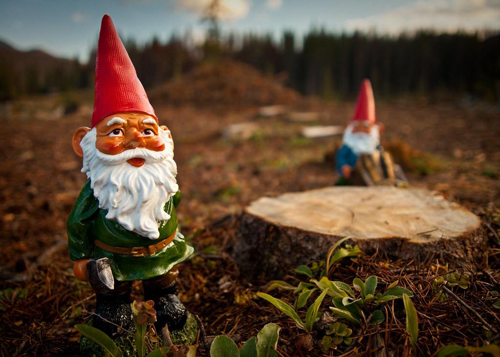 Travelling Gnome Flickr