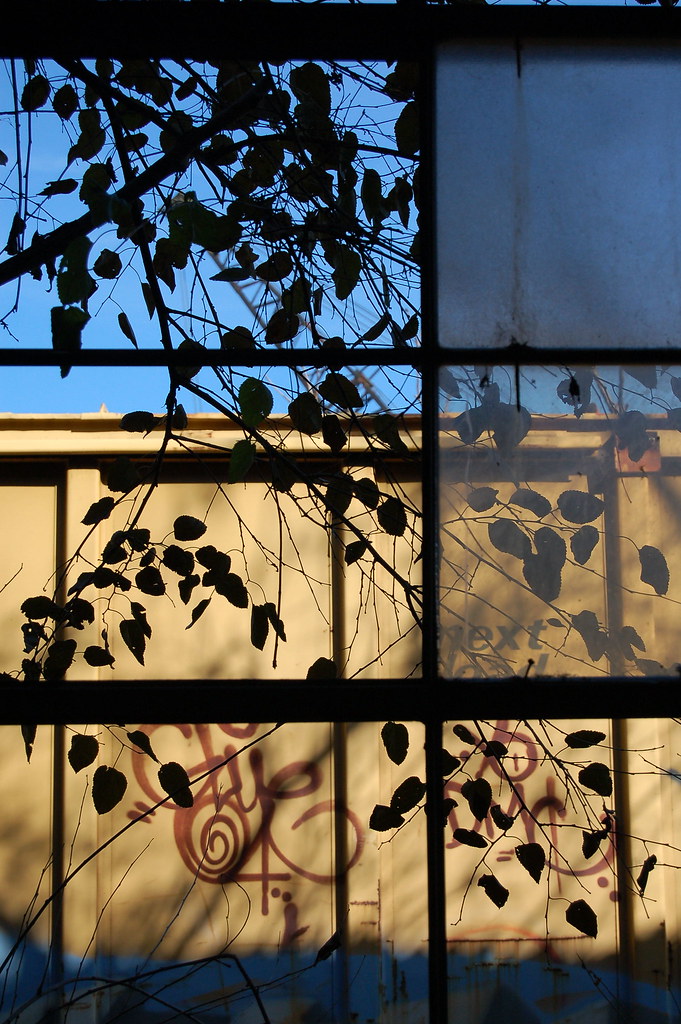 Hunter Packing Plant East St. Louis Thomas Crone Flickr