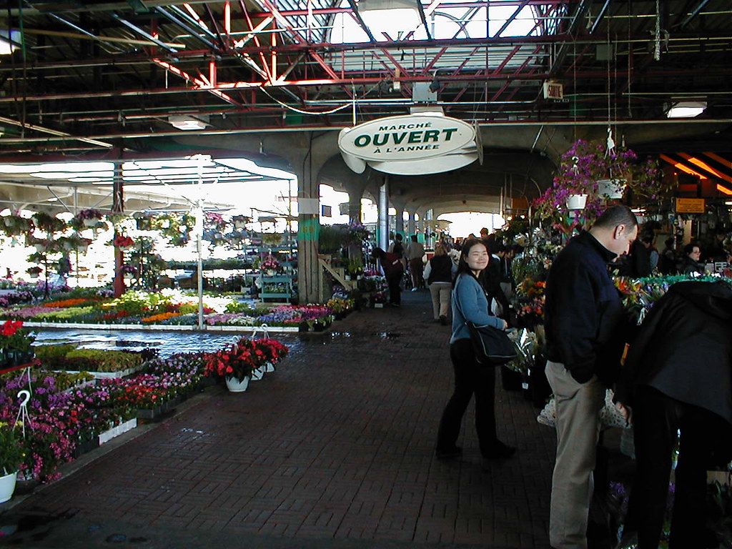 May at farmer's market in Montreal a photo on Flickriver