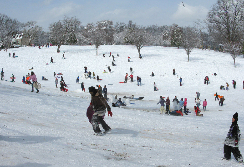 ForestHillparkSleddingw tvnewsbadge Flickr