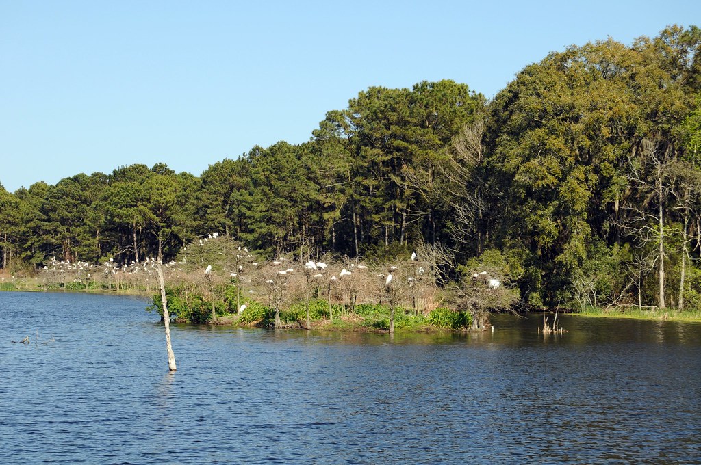 Harris Neck Wildlife Refuge Harris Neck, GA a photo on Flickriver