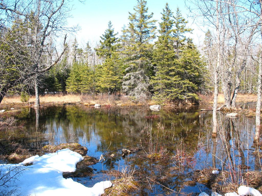 Maxton Plains Hiking the Maxton Plains of Drummond Island … Flickr