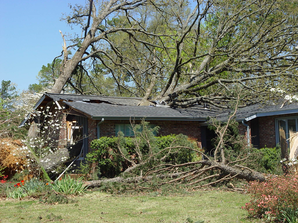 DSC05579 Damage from the tornado in Mena, Arkansas on Apri… Flickr