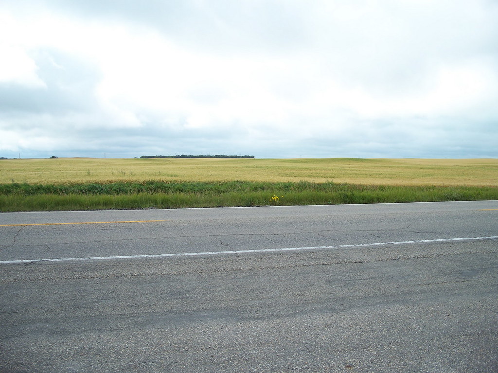 sk08h036 Quill Lake, Saskatchewan 2008 What fields near Qu… Flickr