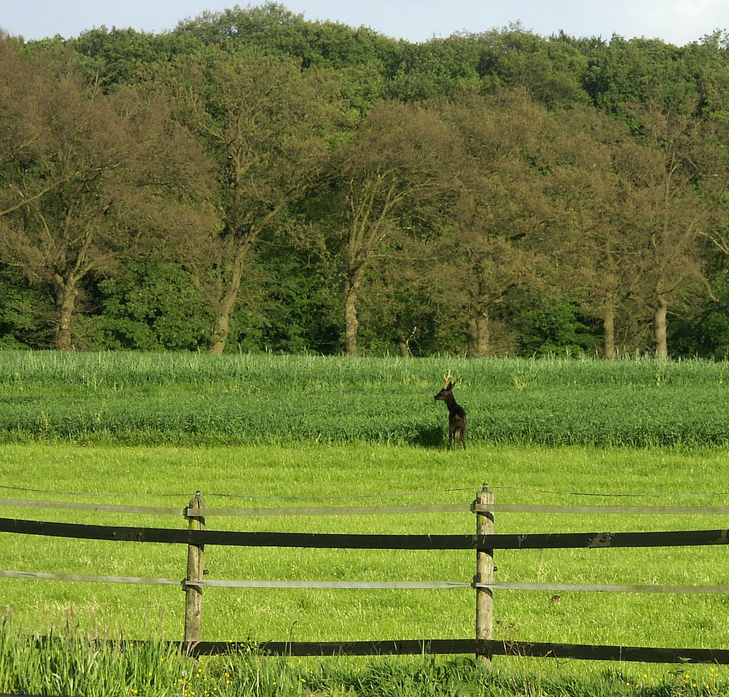 How Far Away Is Texas From Me Plan a trip to plainview, tx and measure the distance to your