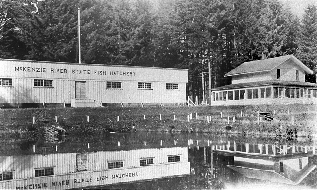 Leaburg Oregon Old Leaburg Fish Hatchery. curtis Irish Flickr