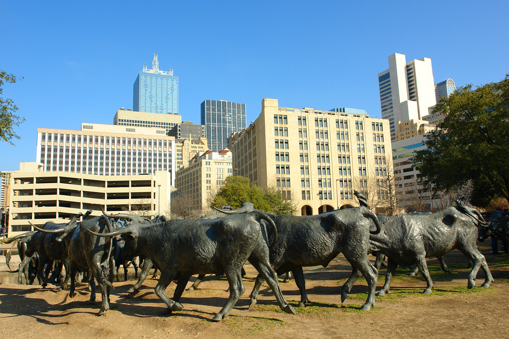 Dallas Downtown Cattle Statues a photo on Flickriver