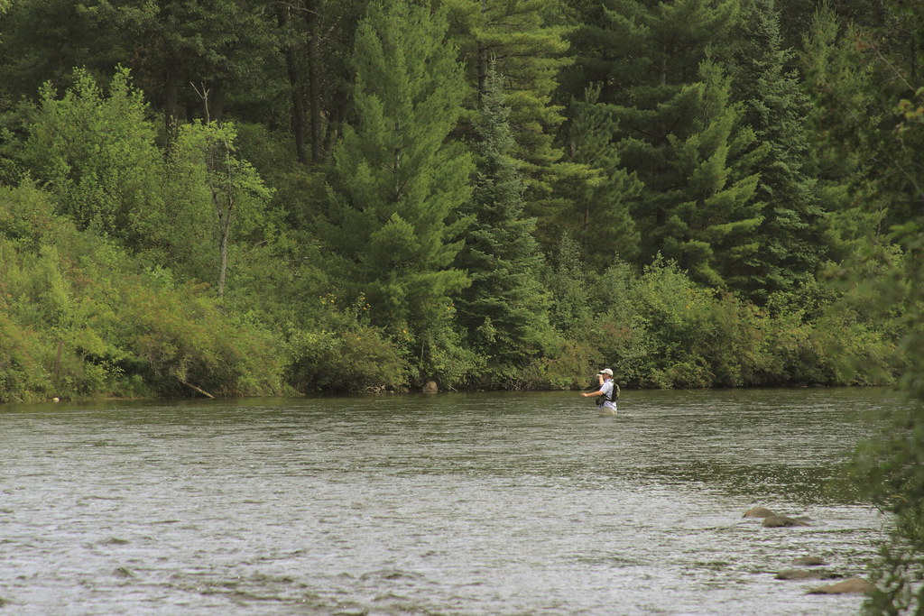 Fly FishingAuSable Mio. Canon EOS 50D with a Sigma 7020… Flickr