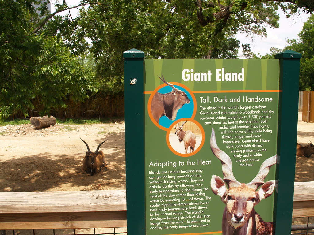 Houston Texas The Houston Zoo in Hermann Park 2010 zoologi… Flickr