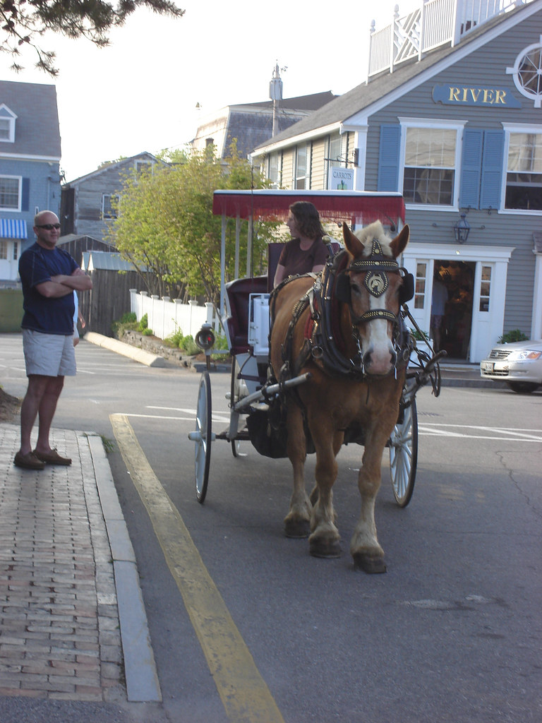 Horse Drawn Carriage in Kennebunkport CP Hoffman Flickr