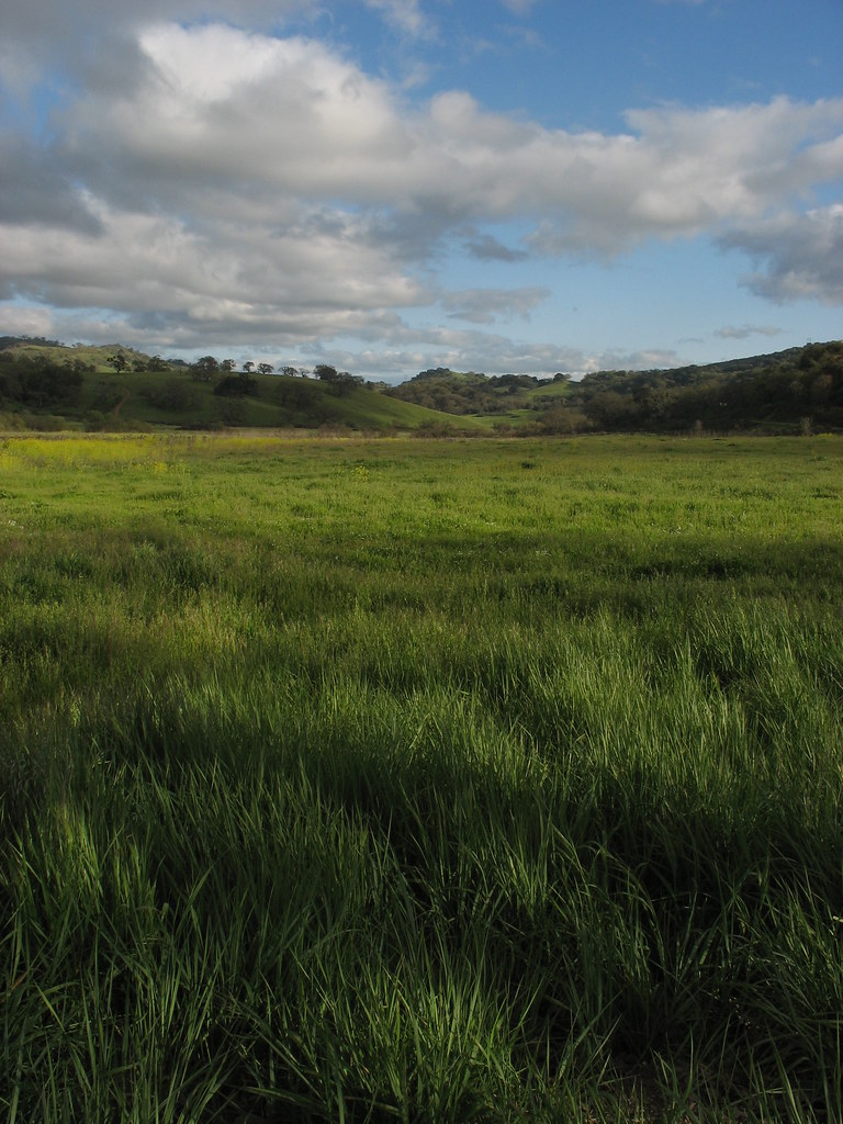 Halls Valley evtkw Flickr